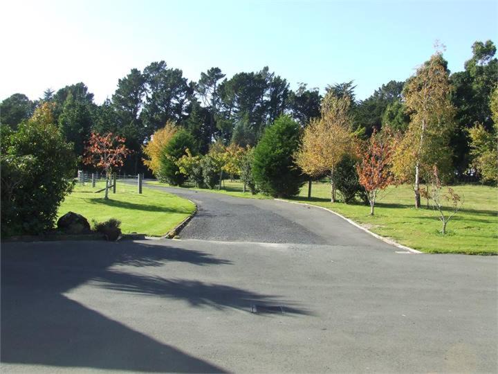 Photo of Others in Dunedin