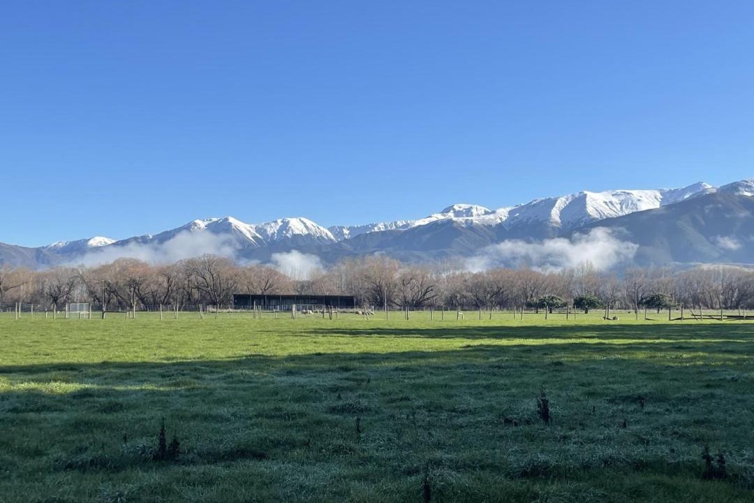 Photo of Others in Hanmer Springs