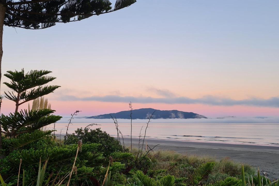 Photo of Others in Waikanae