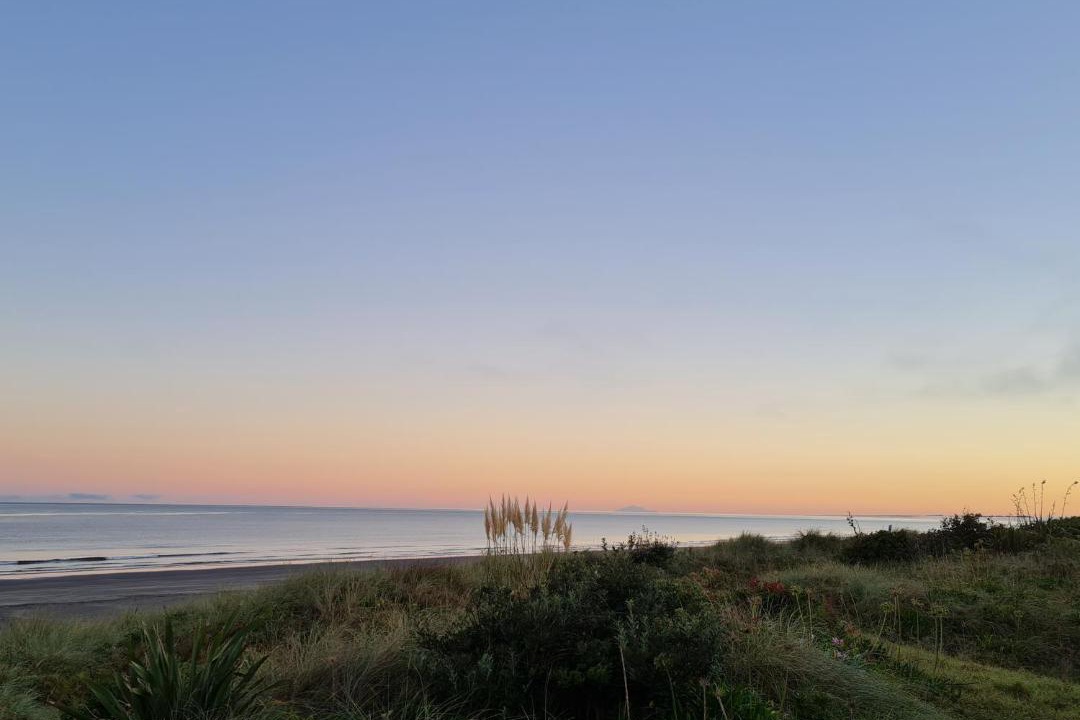 Photo of Others in Waikanae