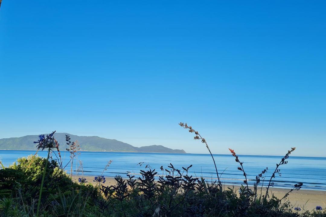 Photo of Others in Waikanae