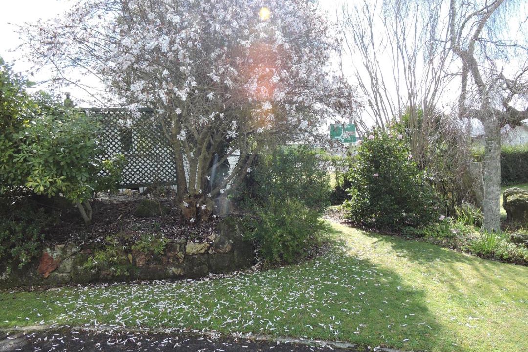 Photo of Others in Matamata