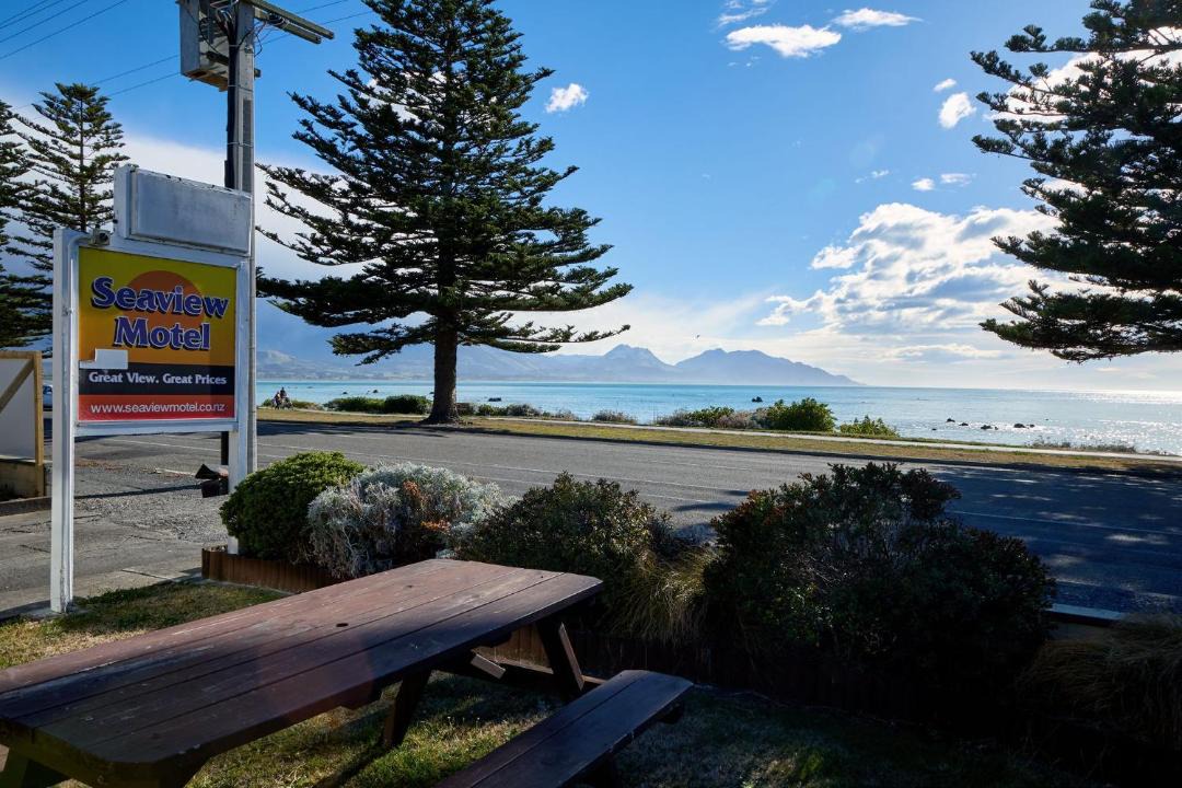 Photo of Others in Kaikoura
