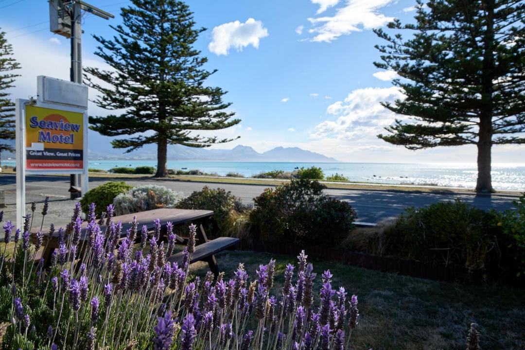 Photo of Others in Kaikoura