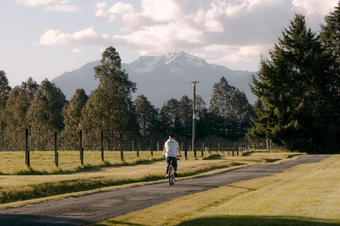 Photo of Others in Te Anau