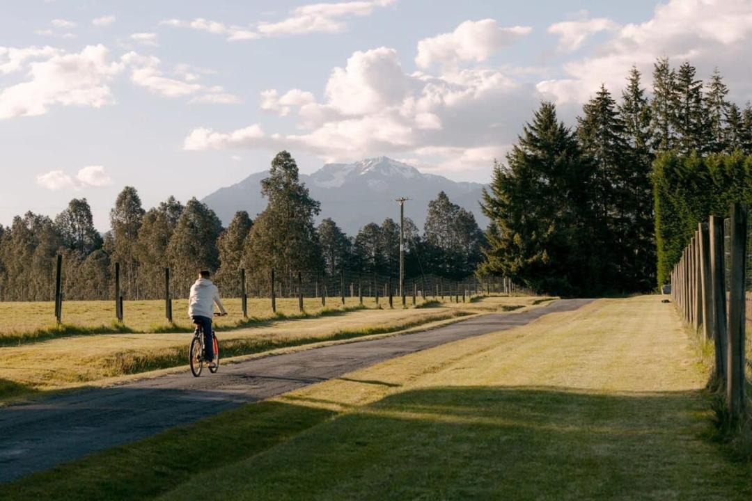 Photo of Others in Te Anau
