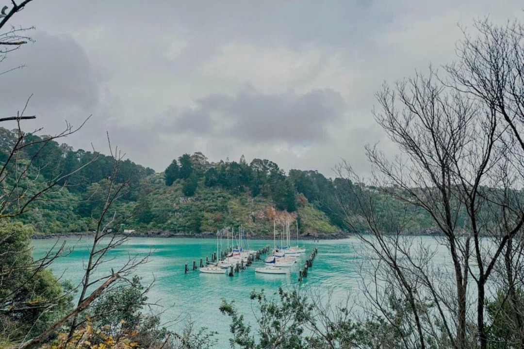 Photo of Others in Diamond Harbour