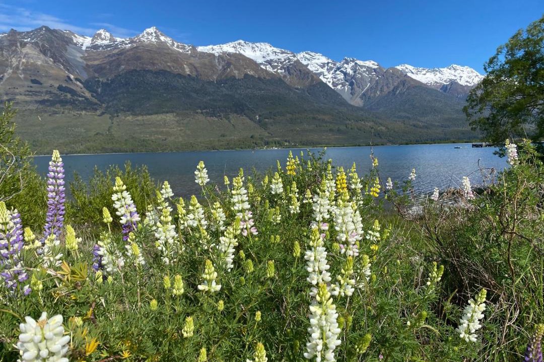 Photo of Others in Glenorchy