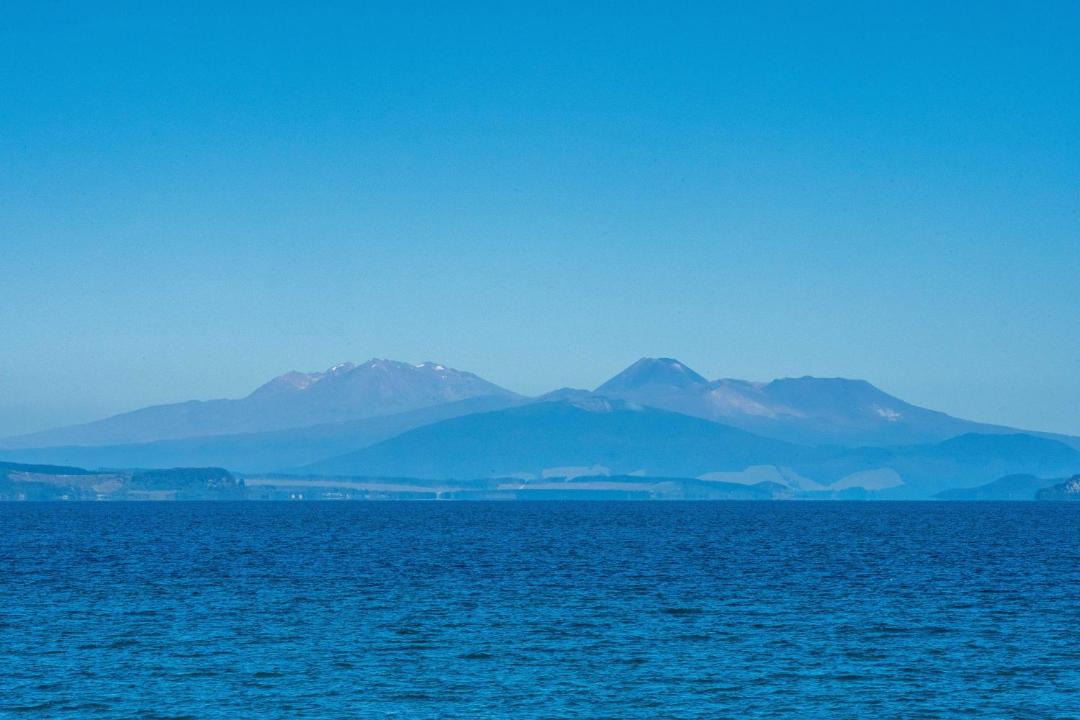 Photo of Others in Waitahanui