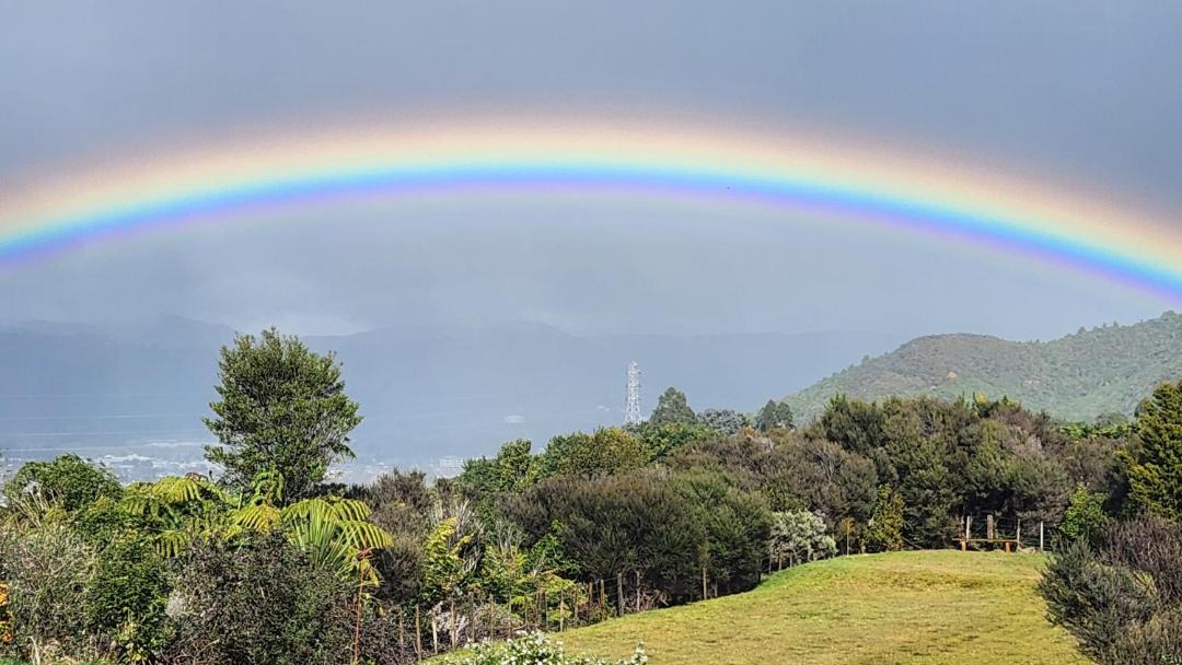 Photo of Others in Upper Hutt