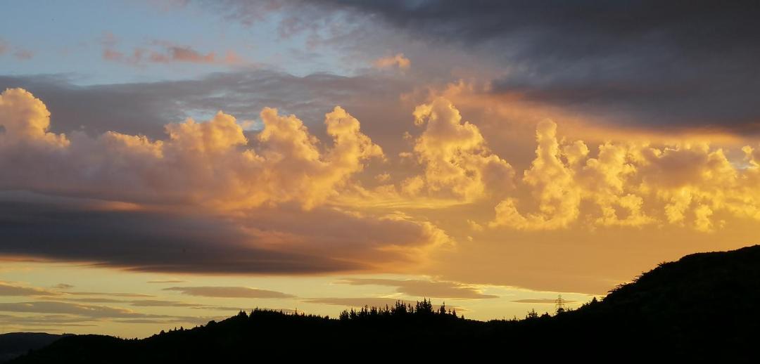 Photo of Others in Upper Hutt