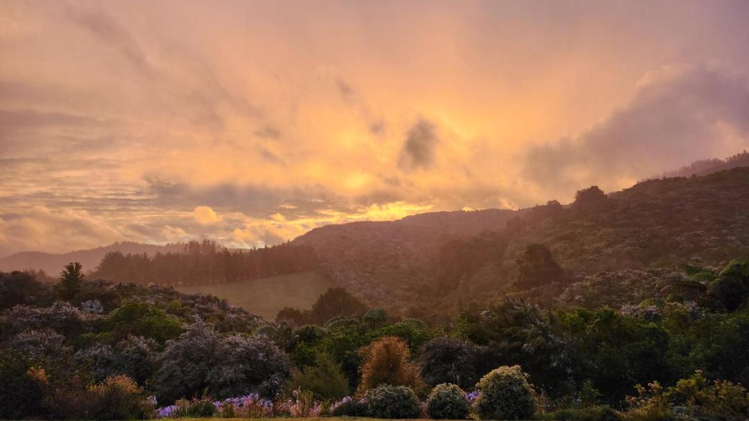 Photo of Others in Upper Hutt
