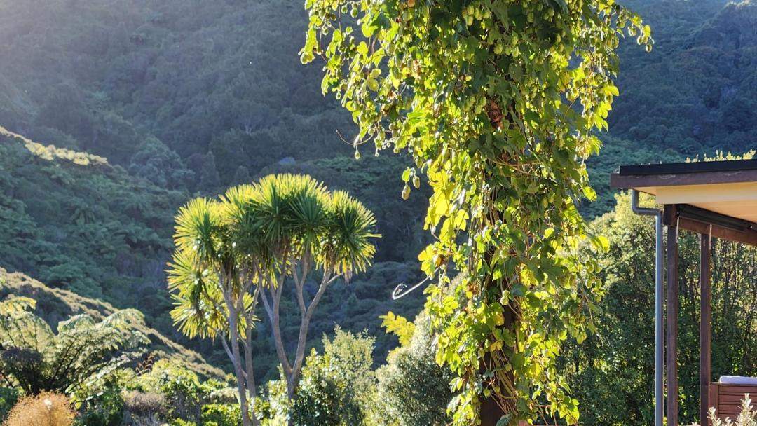 Photo of Others in Upper Hutt