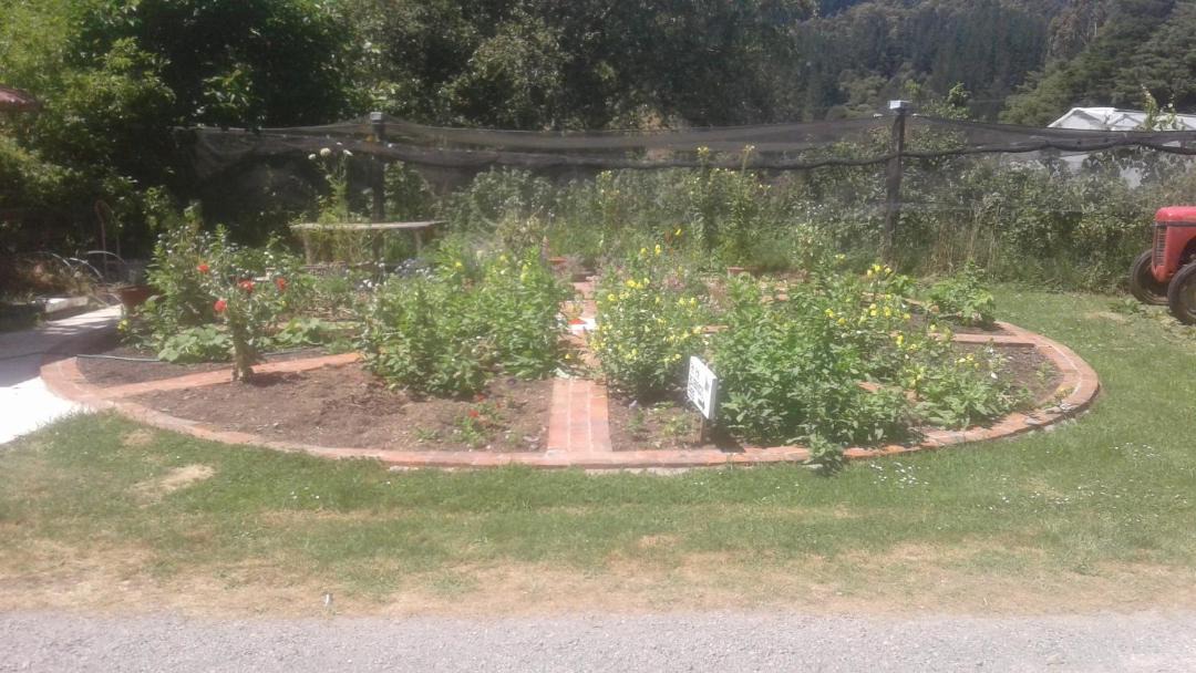 Photo of Others in Lower Hutt