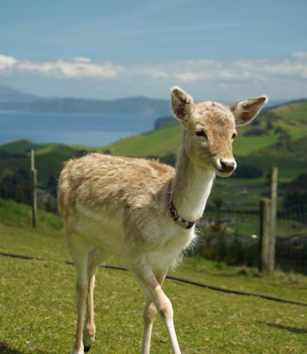 Photo of Others in Kinloch