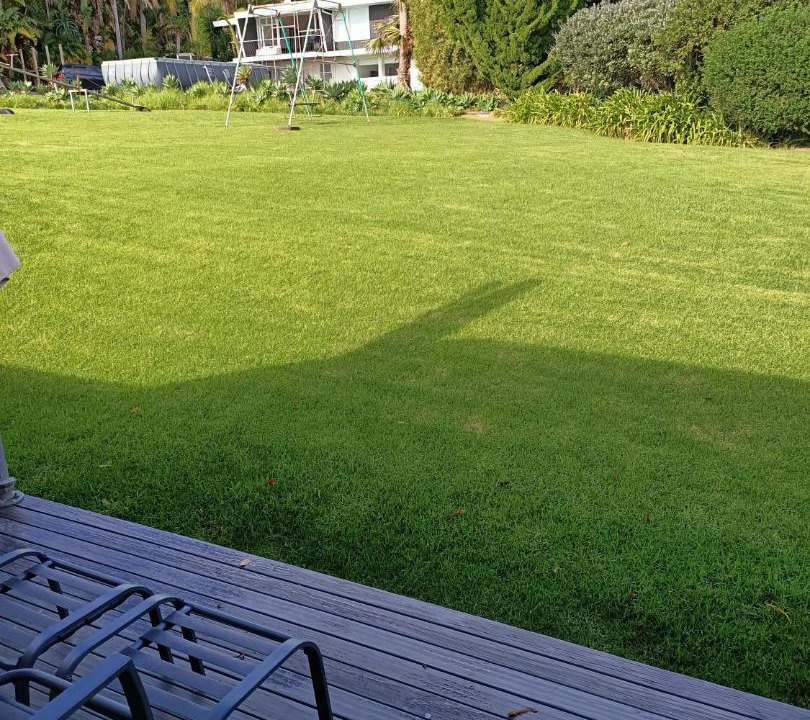 Photo of Others in Stanmore Bay