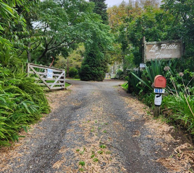 Photo of Others in Kerikeri