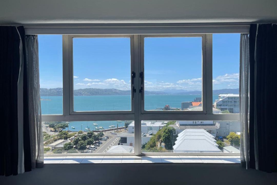Photo of Others in Oriental Bay