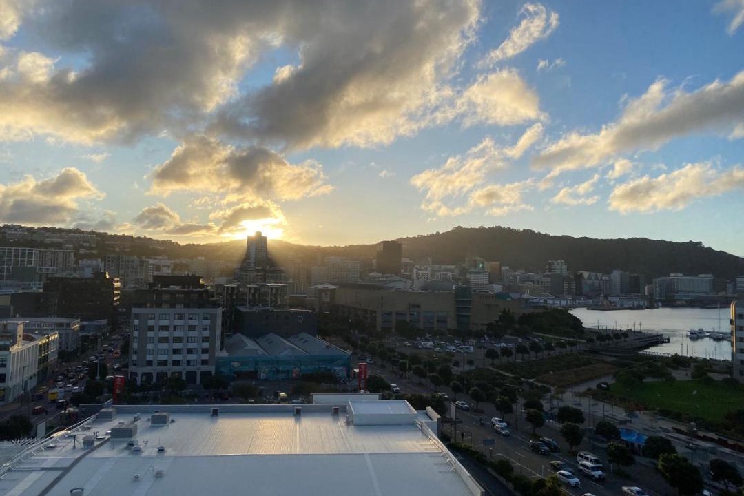 Photo of Others in Oriental Bay