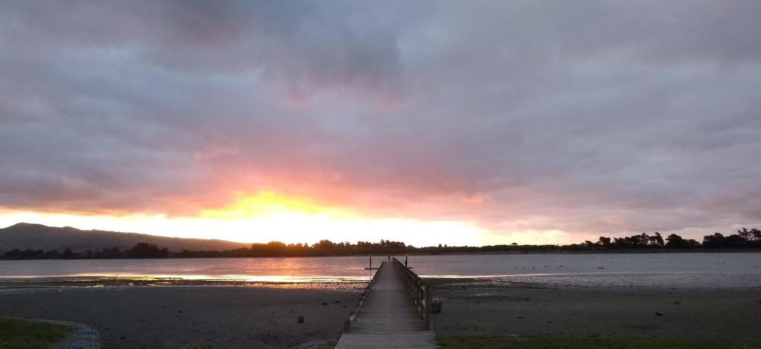 Photo of Others in Christchurch