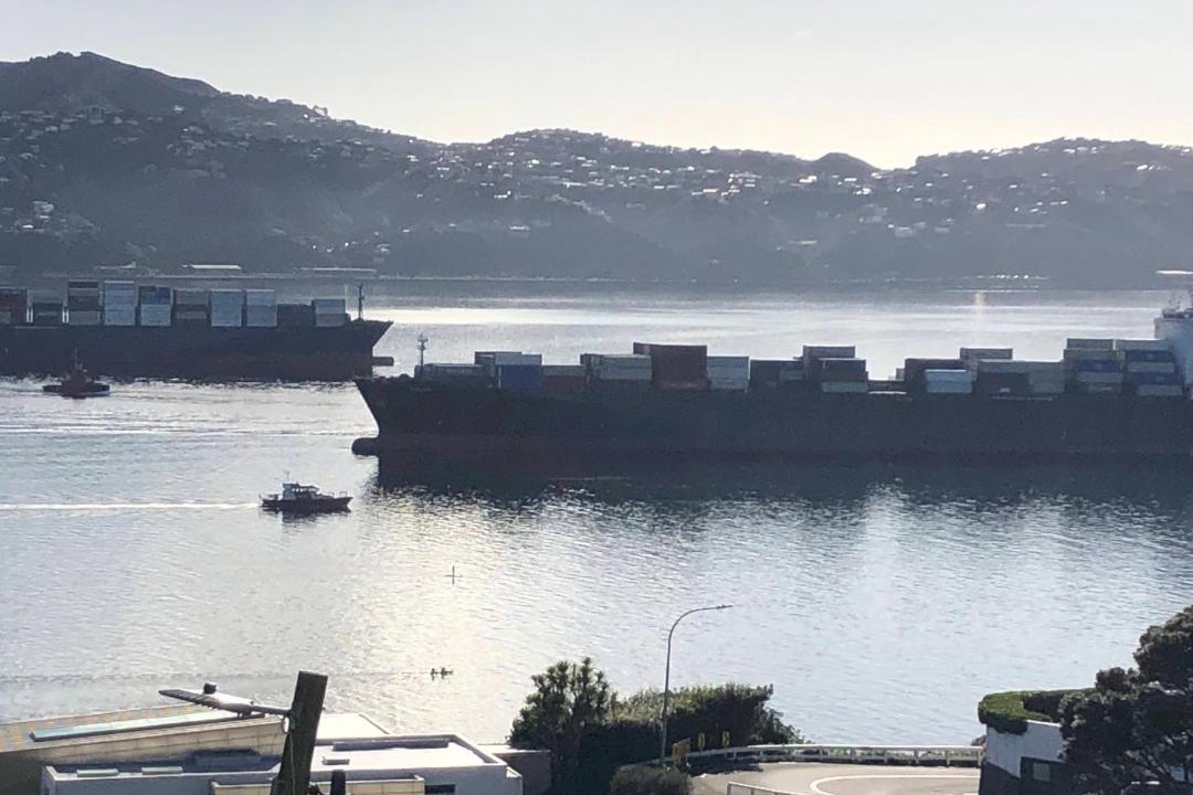Photo of Others in Wellington