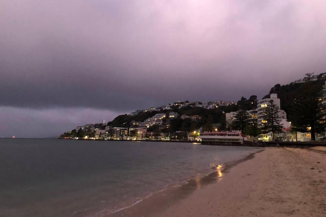 Photo of Others in Wellington