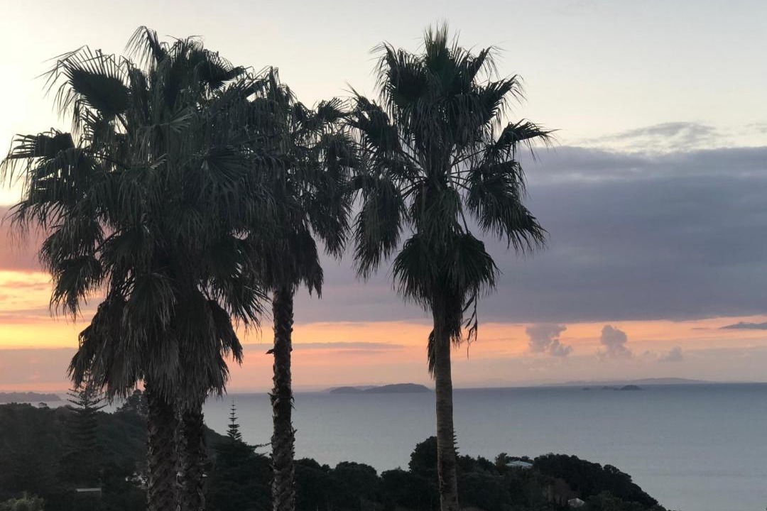 Photo of Others in Palm Beach