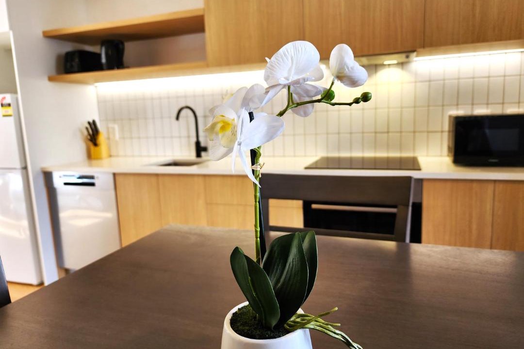Photo of Kitchen in Raumati Beach