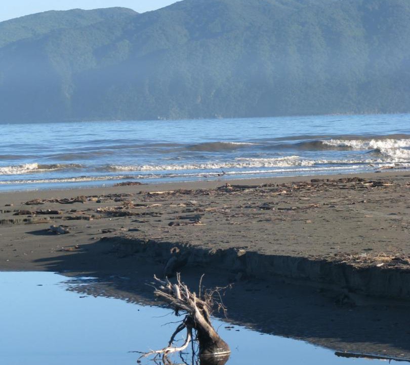 Photo of Others in Paraparaumu Beach