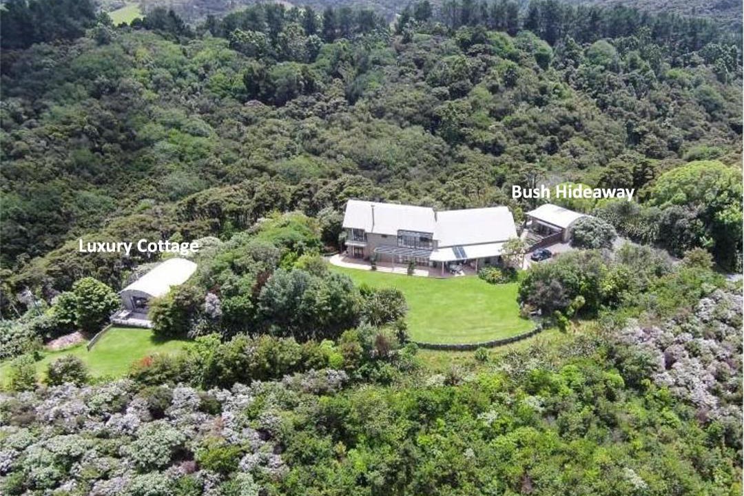 Photo of Others in Tawharanui