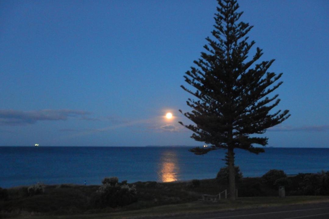Photo of Others in Mount Maunganui