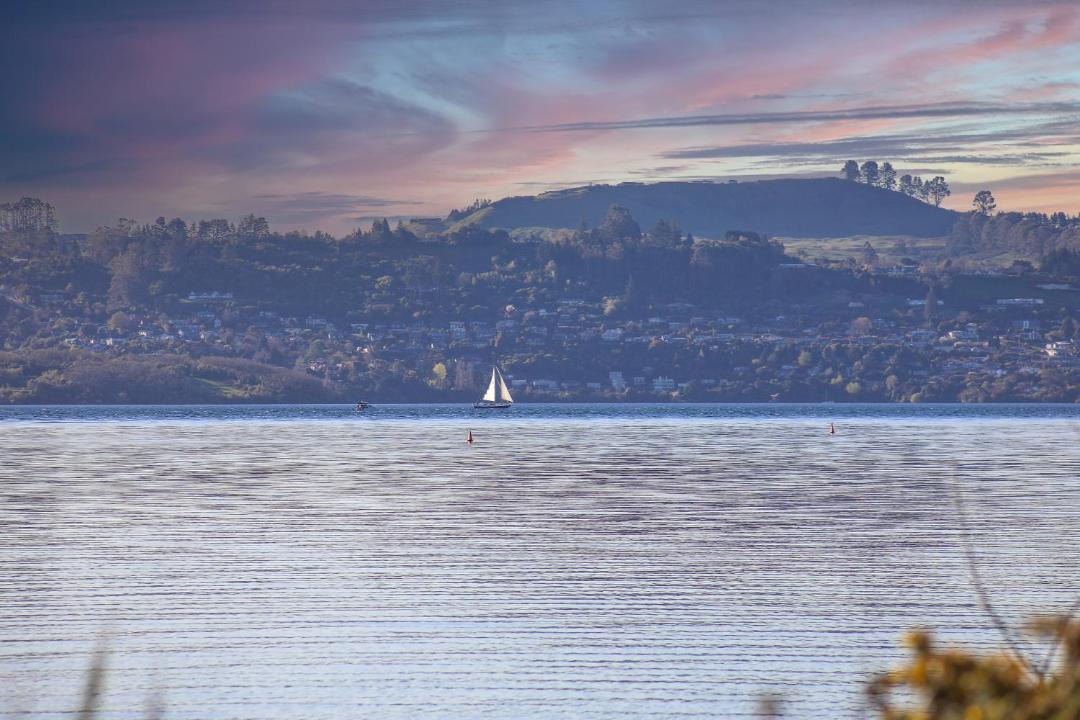 Photo of Others in Waitahanui