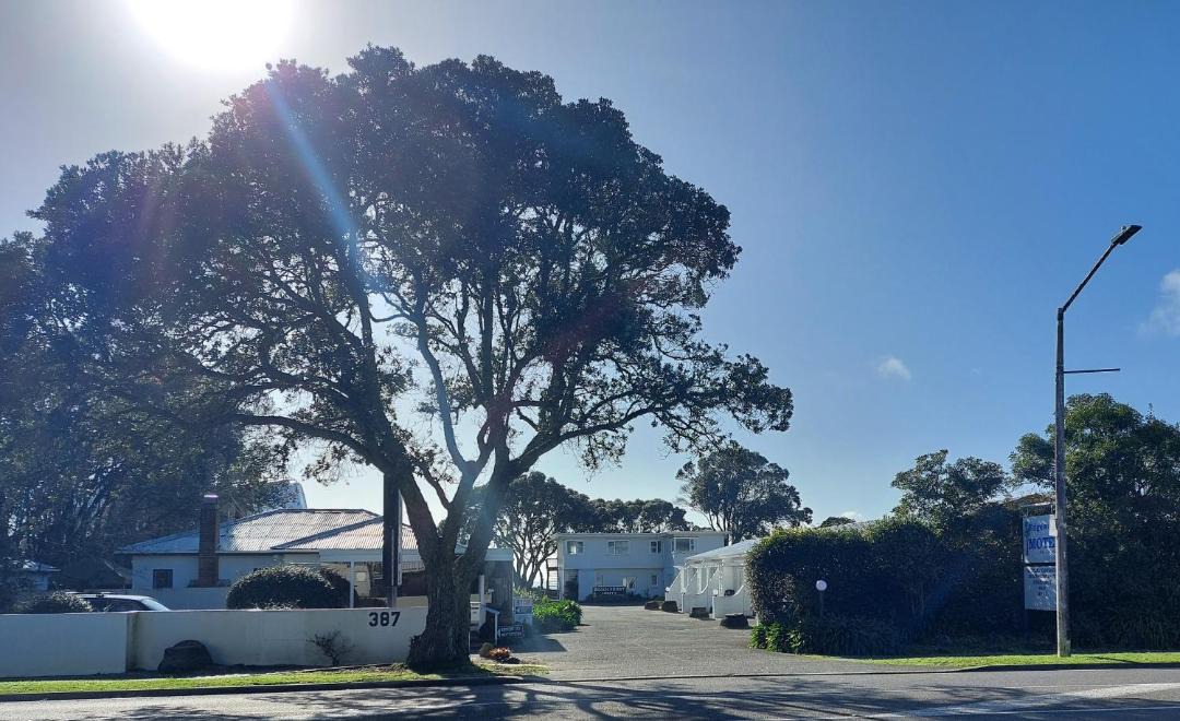 Photo of Others in Orewa