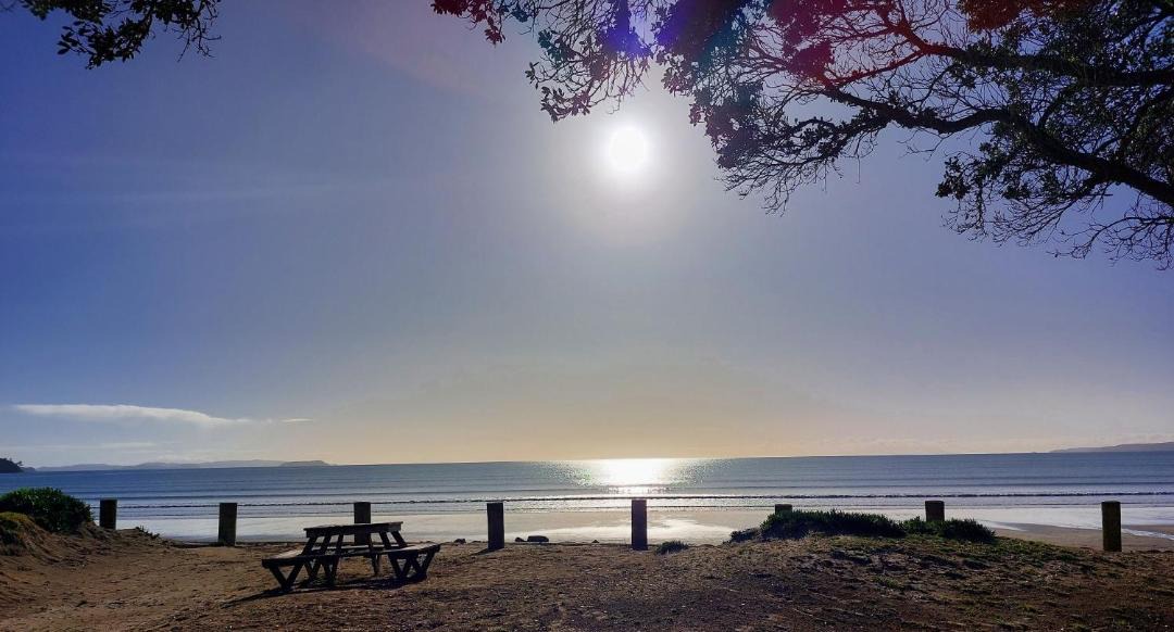 Photo of Others in Orewa