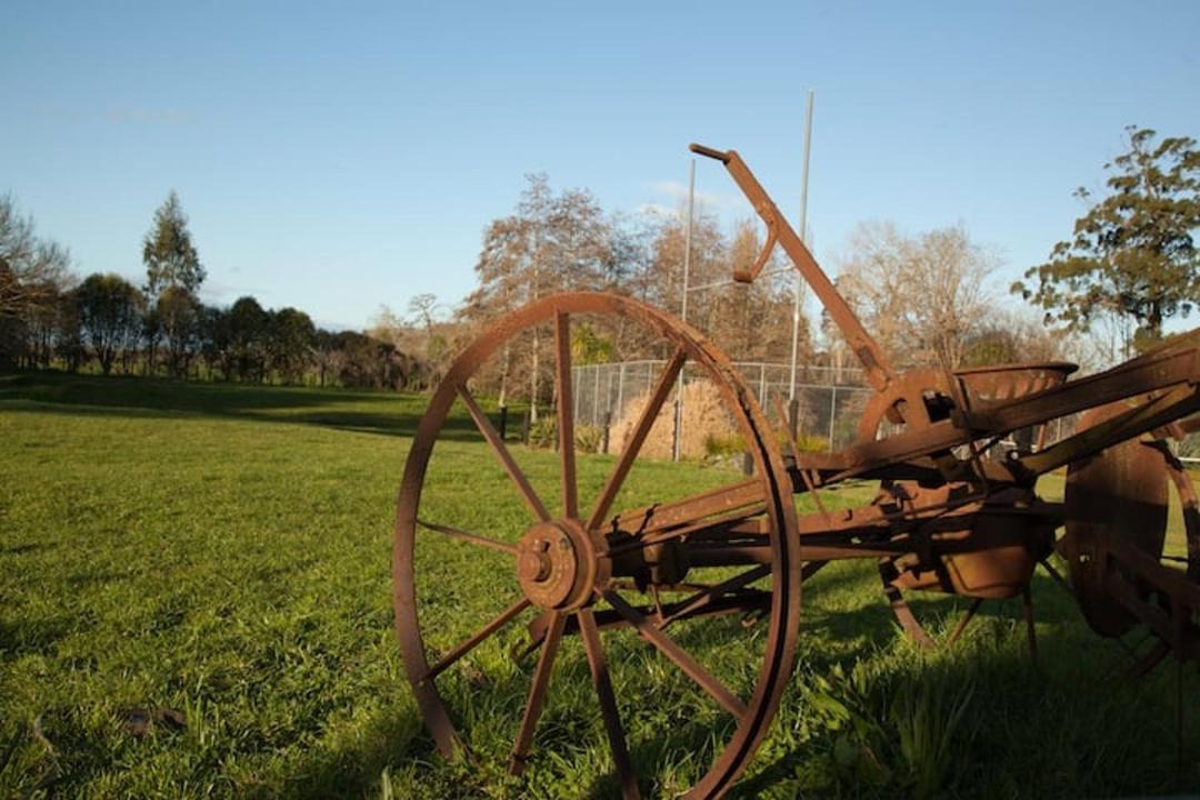 Photo of Others in Newstead