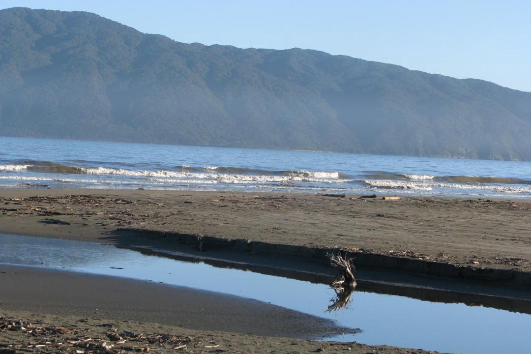 Photo of Others in Paraparaumu Beach