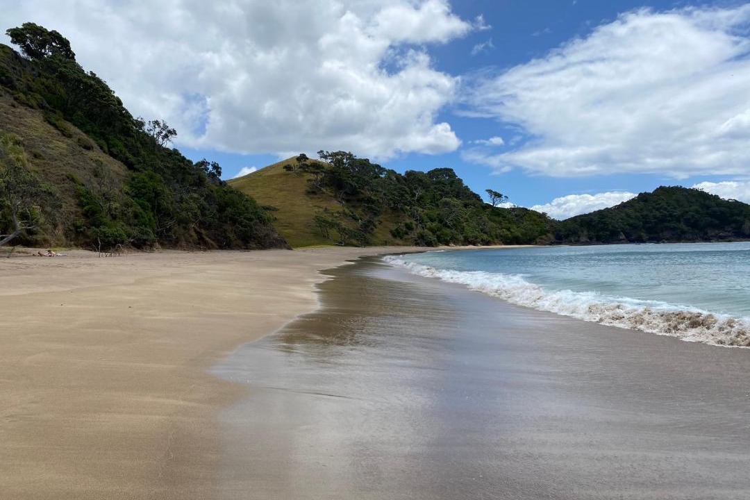 Photo of Others in Tutukaka