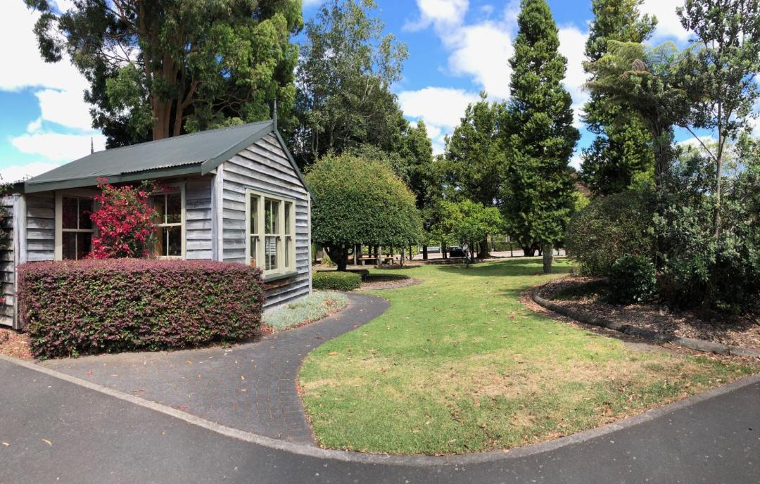 Photo of Others in Tauranga