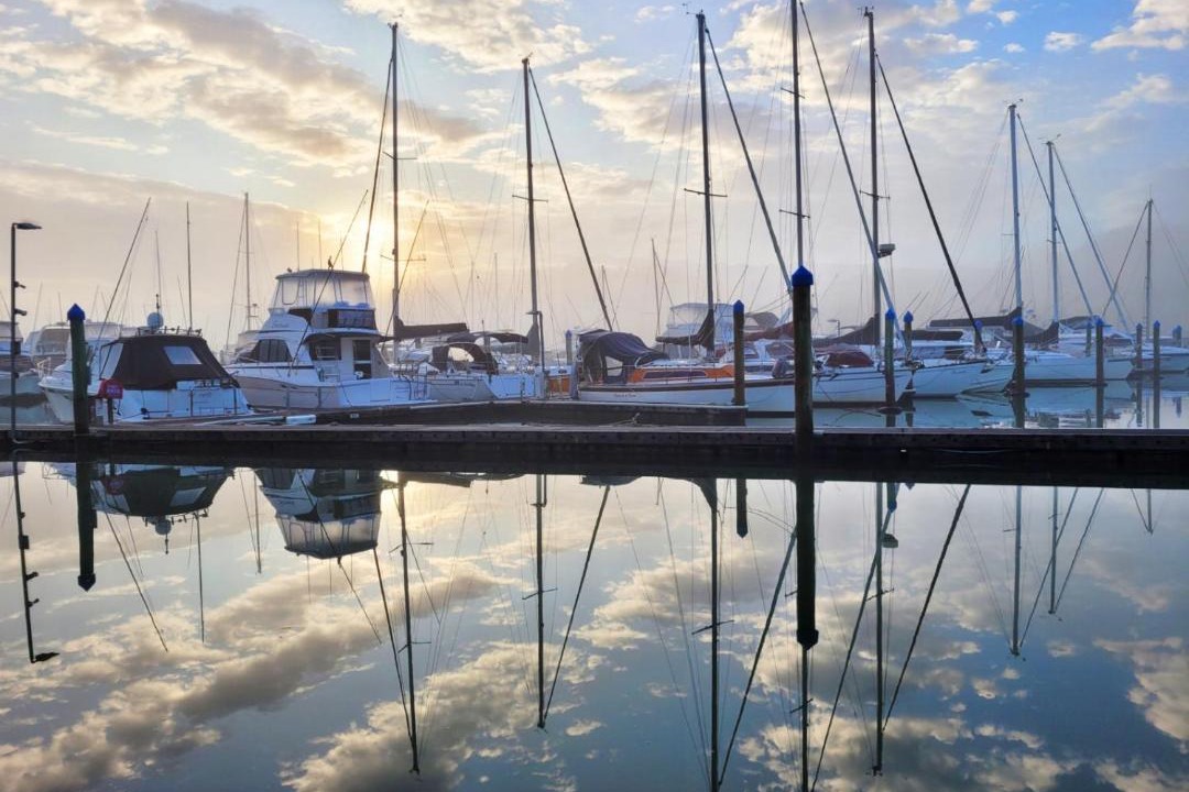 Photo of Others in Whitianga