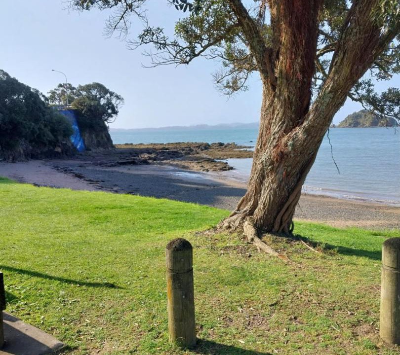 Photo of Others in Paihia