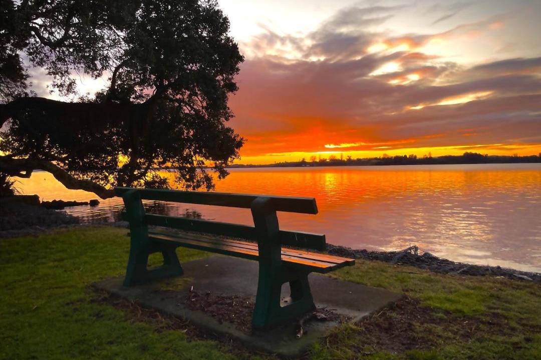Photo of Others in Tauranga
