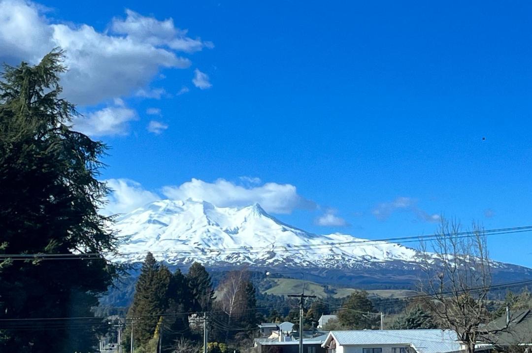 Photo of Others in Ohakune