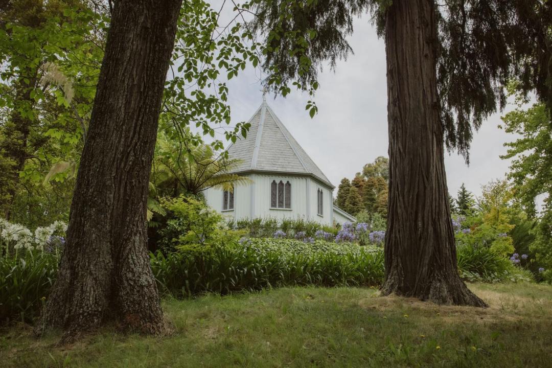 Photo of Others in Nelson