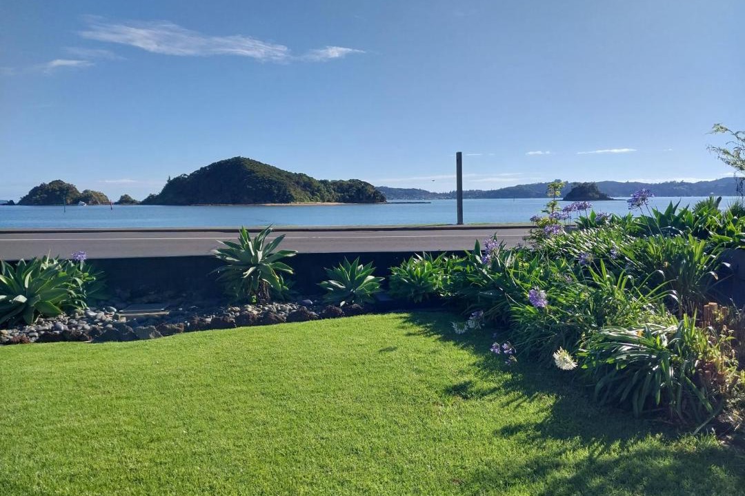 Photo of Others in Paihia