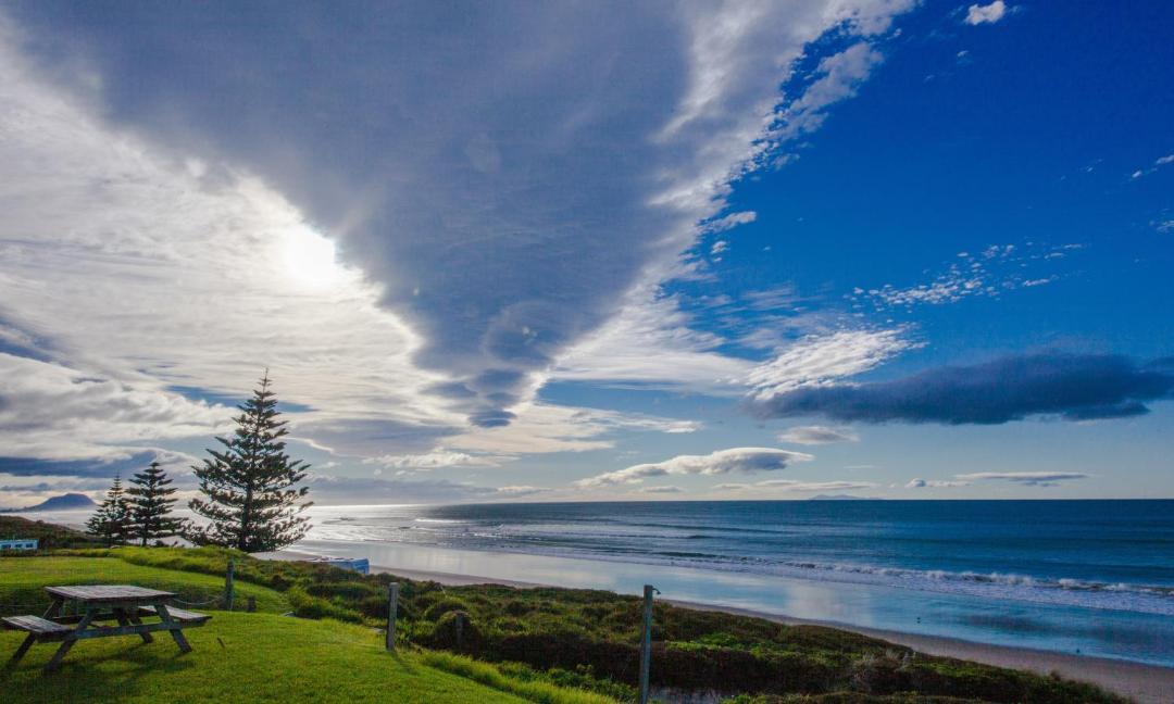 Photo of Others in Papamoa Beach