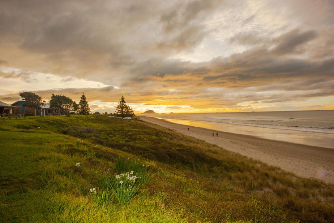 Photo of Others in Papamoa Beach