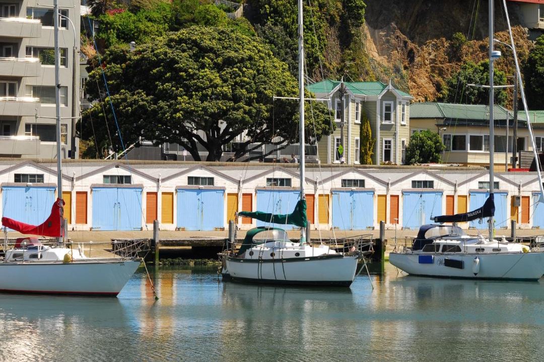 Photo of Buildings in Wellington