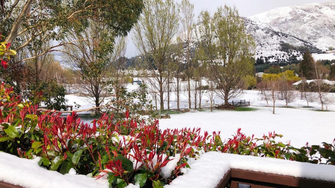 Photo of Others in Wanaka