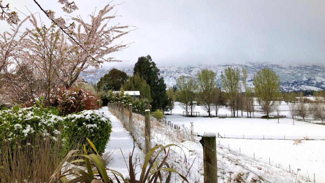 Photo of Others in Wanaka
