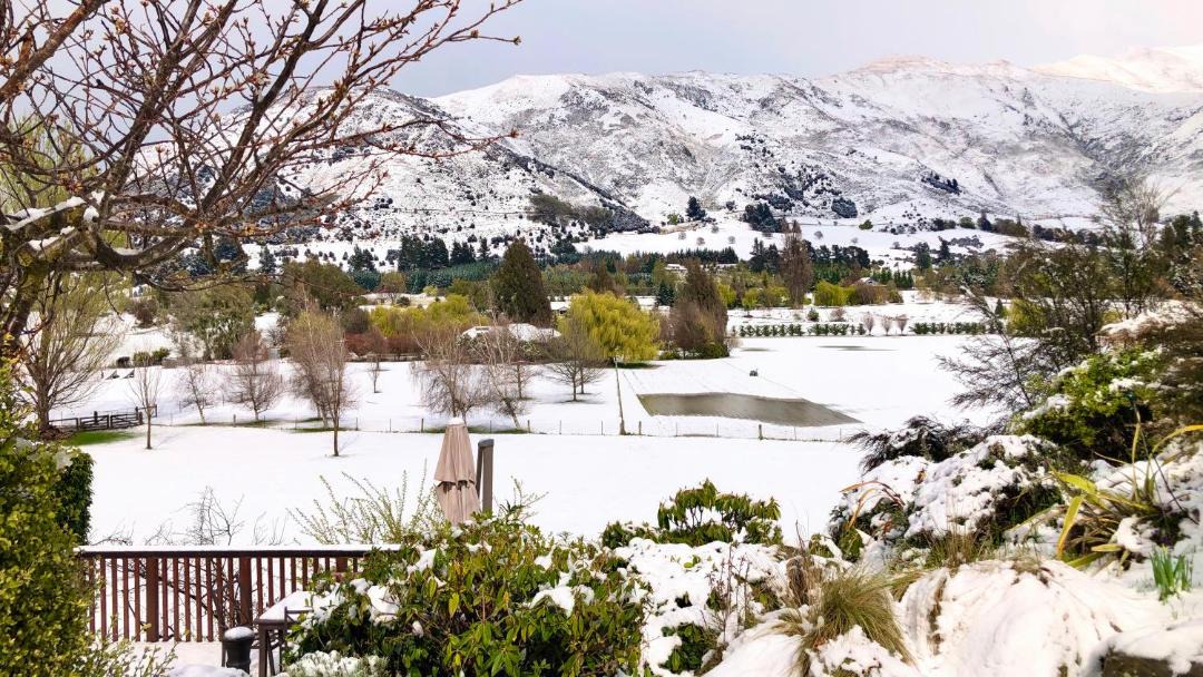 Photo of Others in Wanaka
